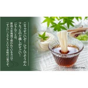 ふるさと納税 ひゃんで そうめん 600g 8...の詳細画像1