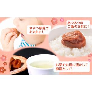 ふるさと納税 訳あり しそ漬け梅干し 350g...の詳細画像3