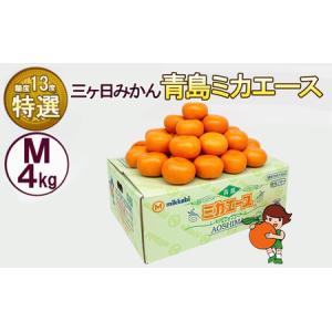 ふるさと納税 三ケ日みかん 青島 【特選 ミカエース】 Mサイズ4kg(36個前後) ミカン 果物 くだもの フルーツ 甘い 果物類 柑橘類 静岡 浜松市【.. 静岡県浜松市