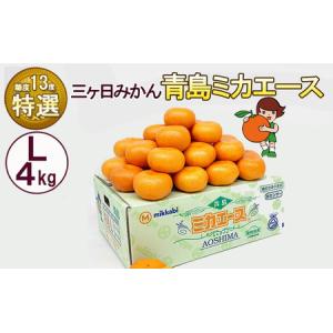 ふるさと納税 三ケ日みかん 青島 【特選 ミカエース】 Lサイズ4kg(30個前後) ミカン 果物 くだもの フルーツ 甘い 果物類 柑橘類 静岡 浜松市【.. 静岡県浜松市