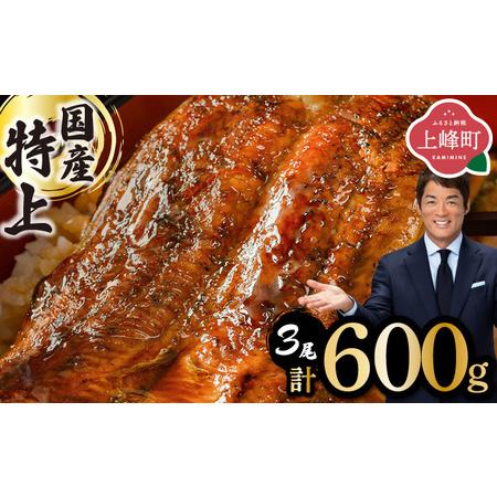 ふるさと納税 【数量限定】『国産』うなぎ蒲焼 3尾 計600g ※一部配送不可地域ありC-646 佐...