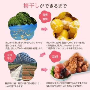 ふるさと納税 訳あり 梅干し 大粒 大玉 つぶ...の詳細画像2