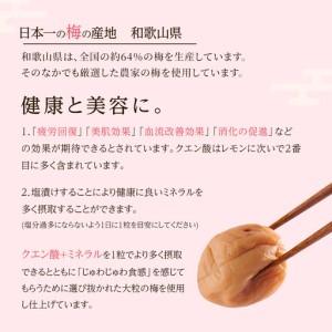 ふるさと納税 訳あり 梅干し 大粒 大玉 つぶ...の詳細画像3