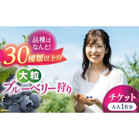 ふるさと納税 ブルーベリー狩り 80分食べ放題 大人1名様 ブルーベリー 体験チケット[AEBZ00...