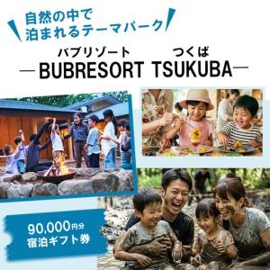 ふるさと納税 グランピング BUB RESORT 利用券 90,000円分 グランピング 茨城県つく...