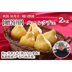 ふるさと納税 【2026年先行予約】【贈答用】西洋梨 ル・レクチェ 2kg（5〜7玉）《11月下旬〜順次出荷》 梨 洋梨 新潟県加茂市