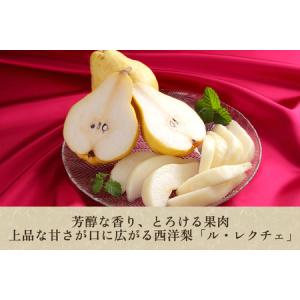 ふるさと納税 【2026年先行予約】【贈答用】...の詳細画像1