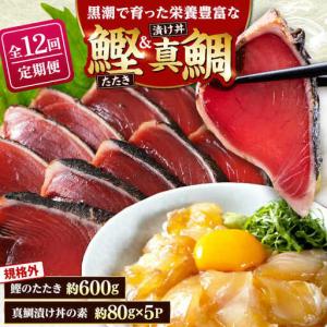 ふるさと納税 【12回定期便】規格外カツオたたき 約600g＋真鯛漬け丼の素 約80g×5パック 【興洋フリーズ株式会社】[ATBX121] 高知県高知市
