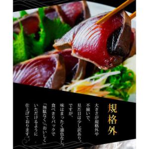 ふるさと納税 【12回定期便】規格外カツオたた...の詳細画像1