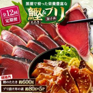ふるさと納税 【12回定期便】規格外カツオたたき 約600g＋ブリ漬け丼の素 約80g×5パック 【興洋フリーズ株式会社】[ATBX124] 高知県高知市