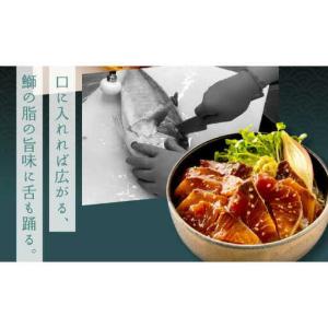 ふるさと納税 【12回定期便】規格外カツオたた...の詳細画像3