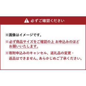 ふるさと納税 Arrows (B) 椅子 イス...の詳細画像4
