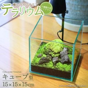 ふるさと納税 テラリウム 15cm キューブ（苔5種類） 苔リウム 苔テラリウム 新潟県加茂市