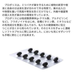 ふるさと納税 バイオフラボンメディック 240...の詳細画像1