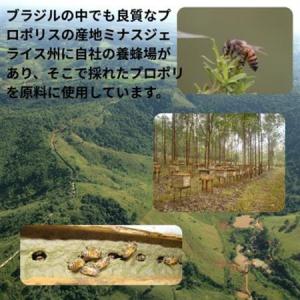 ふるさと納税 バイオフラボンメディック 240...の詳細画像2