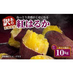 ふるさと納税 【訳あり】生芋10kg　SSサイズ〜2Lサイズ（サイズバラ） ※離島への配送不可 ※2025年12月下旬頃より順次発送予定 茨城県土浦市