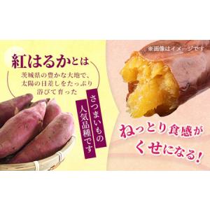 ふるさと納税 【訳あり】生芋10kg SSサイ...の詳細画像1