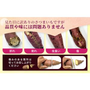 ふるさと納税 【訳あり】生芋10kg SSサイ...の詳細画像2
