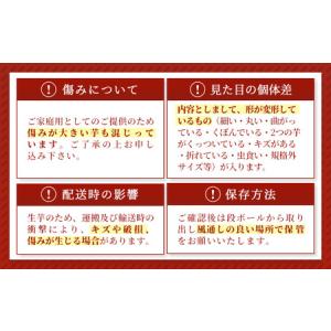 ふるさと納税 【訳あり】生芋10kg SSサイ...の詳細画像4