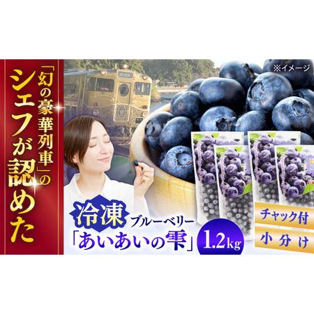 ふるさと納税 冷凍ブルーベリー 計1.2kg フルーツ ベリー 果物 小分け QAT017 長崎県佐...