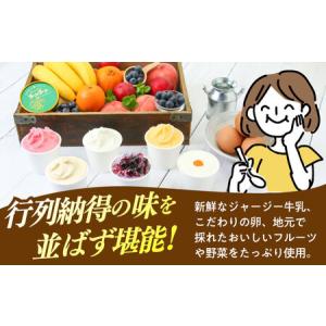 ふるさと納税 【12回定期便】シュシュ 季節の...の詳細画像1