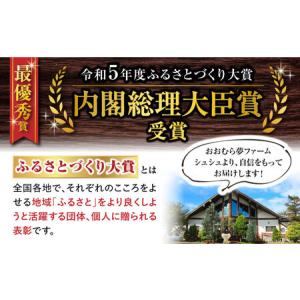 ふるさと納税 【12回定期便】シュシュ 季節の...の詳細画像4