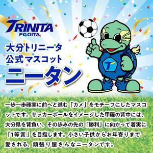 ふるさと納税 大分トリニータ 公式 マスコット...の詳細画像1