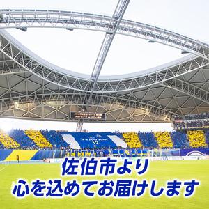 ふるさと納税 大分トリニータ 公式 マスコット...の詳細画像4