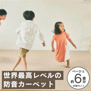 ふるさと納税 最大82%の音をカットする防音タイ...の商品画像