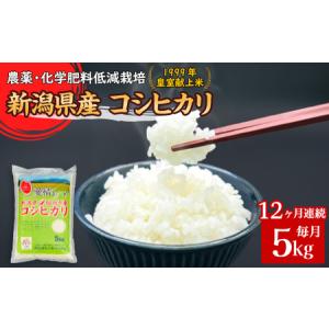 ふるさと納税 16-K5Z【12ヶ月連続お届け】...の商品画像
