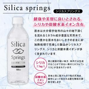 ふるさと納税 シリカスプリングス(計24L・5...の詳細画像2
