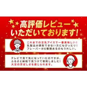 ふるさと納税 【全6回】豆乳アイス 24個[A...の詳細画像2