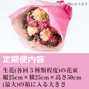 ふるさと納税 【1005901b】<定期便・全...の詳細画像3