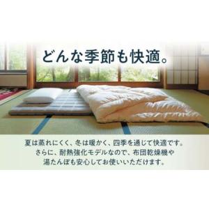 ふるさと納税 エアウィーヴ 四季布団 セミダブ...の詳細画像1