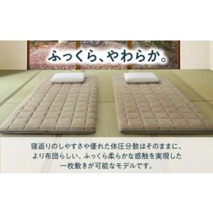 ふるさと納税 エアウィーヴ 四季布団 ダブル[...の詳細画像2