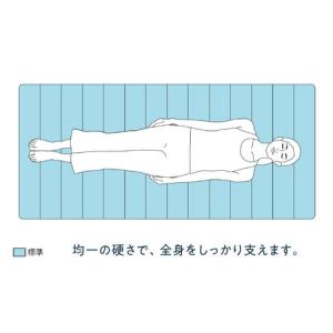 ふるさと納税 【マット枕セット】エアウィーヴ ...の詳細画像3
