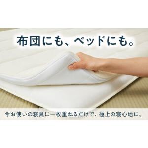 ふるさと納税 【マット枕セット】エアウィーヴ ...の詳細画像2