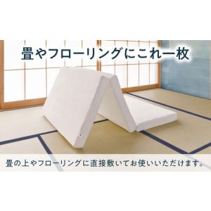 ふるさと納税 【マット枕セット】エアウィーヴ ...の詳細画像2