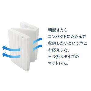 ふるさと納税 【マット枕セット】エアウィーヴ ...の詳細画像3