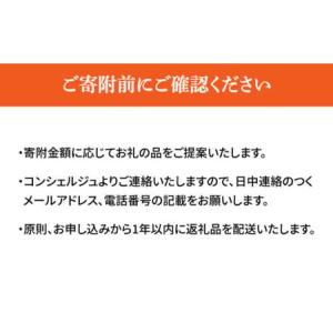 ふるさと納税 【長浜市コンシェルジュ】寄附額1...の詳細画像4