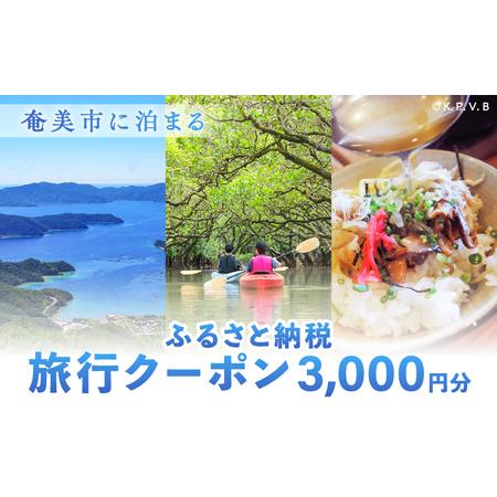 ふるさと納税 奄美市 に 泊まる ふるさと納税 旅行 クーポン【 3,000円 分 】 A184-0...