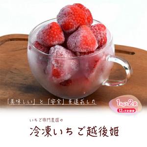ふるさと納税 冷凍いちご 越後姫1kg×2袋 12ヶ月定期便 冷凍 イチゴ 苺 果物 フルーツ 定期 新潟 新潟県上越市
