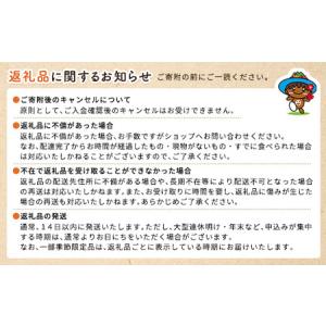 ふるさと納税 純黒糖パンナコッタ 4個入り 鹿...の詳細画像2