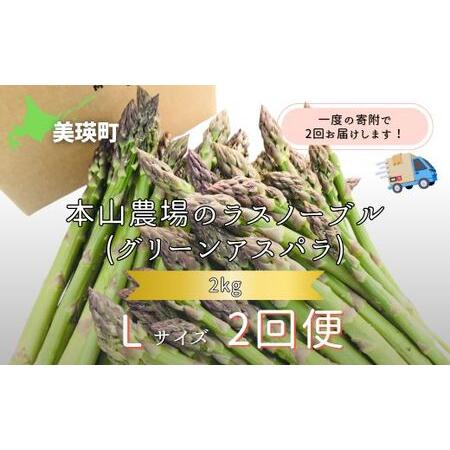 ふるさと納税 【2026年産先行予約】北海道 美瑛町幻のアスパラ 本山農場のラスノーブル（グリーンア...