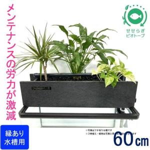 ふるさと納税 せせらぎビオトープ　60cm型ろ過装置・ 縁あり水槽用（※水槽はついていません） 広島県東広島市