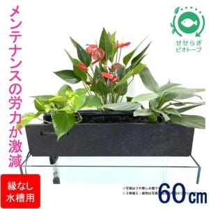ふるさと納税 せせらぎビオトープ　60cm型ろ過装置・縁なし水槽用（※水槽はついていません） 広島県東広島市