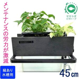 ふるさと納税 せせらぎビオトープ　45cmろ過装置・縁あり水槽用（※水槽はついていません）） 広島県東広島市