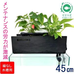 ふるさと納税 せせらぎビオトープ 45cm型ろ過...の商品画像