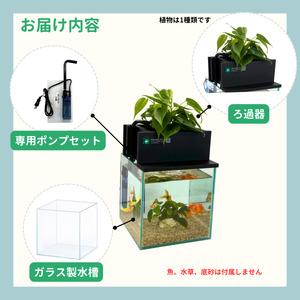 ふるさと納税 せせらぎビオトープ 20cm型基...の詳細画像1