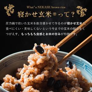 ふるさと納税 寝かせ玄米ごはんパック 4種ミッ...の詳細画像1